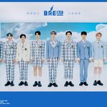 [모두드루와] BAE173 배추쌈 아깽이들 컨<b>포보</b>고가!!!!