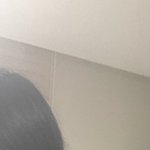 나 <b>집게</b>핀 ㅈㄴ 못한다