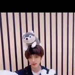 [<b>TXT</b>모아] 1113  공식틱톡