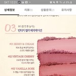 스킨푸드 블러셔 무ㅓ살까 <b>이중</b>에