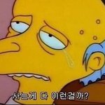 <b>개냥</b>이 아기고양이 주울뻔했는데