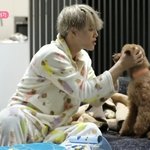 <b>다음</b>주 나혼자산다 <b>엑소</b>카이 ?!!