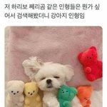 고양이 잘알거나 <b>수의학</b>과 준비중인 애들 들어와봐