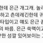 [추반부탁해] 츤데레 귀요미 남주 웹툰 본다vs안본다
