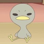 근데 연고티비 <b>바니</b>님 엄청 밀어준다