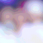 트와 <b>이번활동</b> 코디