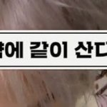 [NCT즌] 킹받네