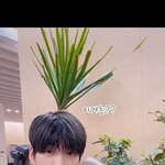 [<b>TXT</b>모아] 1114 공식틱톡