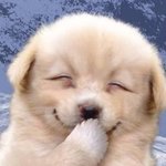 와 인스타 1만<b>따리</b> 고딩 광고 존 나심하다