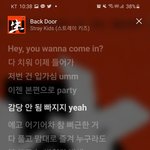 야 스키즈 팬들아 백도어에