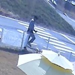 애견운동장와서 각목던지면서 신고하기 전에 개 묶어 키우라는 시골<b>텃세</b>