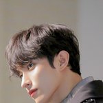 [세븐틴] 세븐틴 대박이다