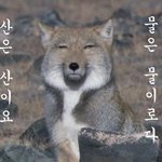 [방탄소년단] 역시나 오늘도 낫투데이여~