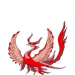 <b>주작</b>임