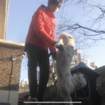 [방탄소년단] <b>순수</b>한 태형이와 순심