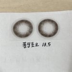 렌즈 <b>박제</b>했다