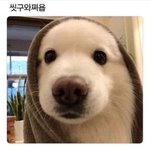 <b>유민</b>으루 인스타 아이디 지어주라