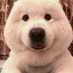 <b>발표</b>하는거 좋아하는 애들아