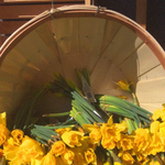 [드루와] <b>히피</b>펌해본사람 ㅈㅂ