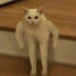 [NCT즌] 수만리...수만리 <b>정신</b>좀차려봐
