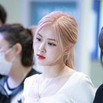 [댓글부탁해] <b>로제글</b> 왜많아짐?