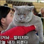 [방탄소년단] 만약 내일도 티저 없으면