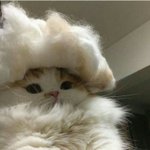 <b>Istp</b> 여자 질문받음