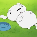 [드루와] 오늘 <b>힐링</b>하는 날 할 건데 뭐할까