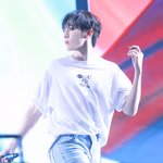 [세븐틴] 타팬?인데