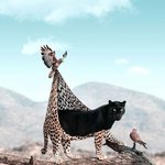 상상력 오지는 <b>야생동물</b> 디지털 아트