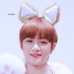 일단 <b>하드</b>에 저장해버린 아이돌