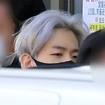 오늘 완전 용맹한 말티즈네