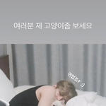 [빅톤] 아닠ㅋㅋㅋㅋ