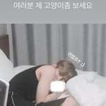 [빅톤] 수빈이가 자기 고양이 보라해서