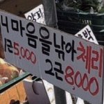 [드루와] 어<b>장치</b>는 인간들 특징 정리해줌