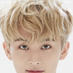 [NCT] 고양이 <b>증사</b>