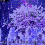 [더보이즈] 존잘발견