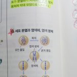 중딩 과학 쉬운거 알려줄사람ㅠㅠㅠ
