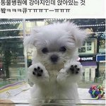 특별히 벽<b>반애</b>들한테만 귀여운거 보여줌