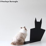 <b>동심</b>으로 제작했어용