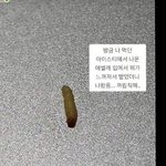 [이것좀봐줘] 아이스티에서 <b>벌레</b>나왔다(혐주의)+다시 씀