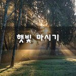 [50대] 햇빛 마시기~