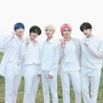 배우계 투바투라고 불리는 배우