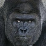 어그로 무시하고 울 찜<b>니나</b> 보자