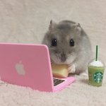 [댓글부탁해] 핑크핑크하면서 뽀얘지는 피부 화장 알려준다