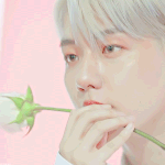 백현과 꽃의 <b>조합</b>은