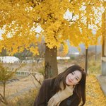 슬기 이사진 진짜 닮고싶다