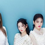 [댓글부탁해] 솔까 해체하고 안유진 장원영 데뷔시켜도