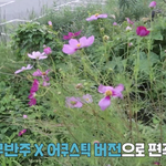 [트레저] 재밌다....