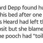 [드루와] 조니뎁-엠버허드 사건진실 (엠버허드 누명씌운 조니뎁 들어와줘)